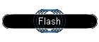 Flash